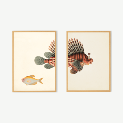 Natural History Museum Vintage Fish Set of 2 Framed Prints